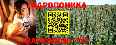 экстази Кингисепп