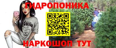 дмт Кимры