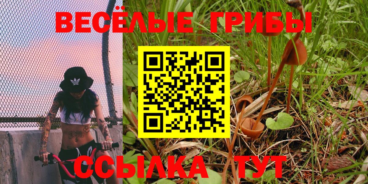 Галлюциногенные грибы мухоморы Ярцево