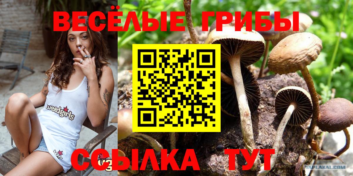 Псилоцибиновые грибы Magic Shrooms  Псилоцибиновые грибы мухоморы  Ярцево  Вход с VPN 